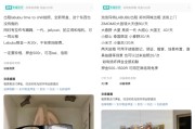 六爻免费闲鱼：LABUBU搜索量环比上涨1000%，供不应求下现租赁新形式