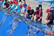 六爻免费2025年全国水生生物同步增殖放流活动在福建举行