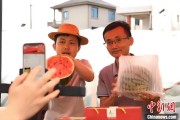 六爻免费（乡村行·看振兴）江西安福“小西瓜”撬动乡村共富“大支点”