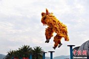 六爻免费（文化中国行）壮乡狮舞闯南洋：脚踏“云桩” 饮誉海内外