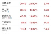 六爻免费“苏超”爆火！300651，“20cm”涨停